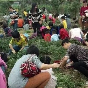 厦门市最大养蜂人在哪里