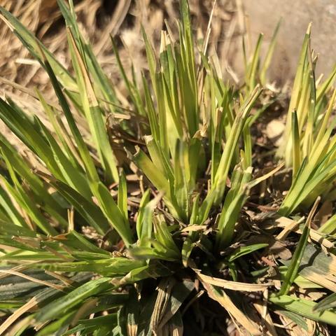 大连市是哪个城市的景点