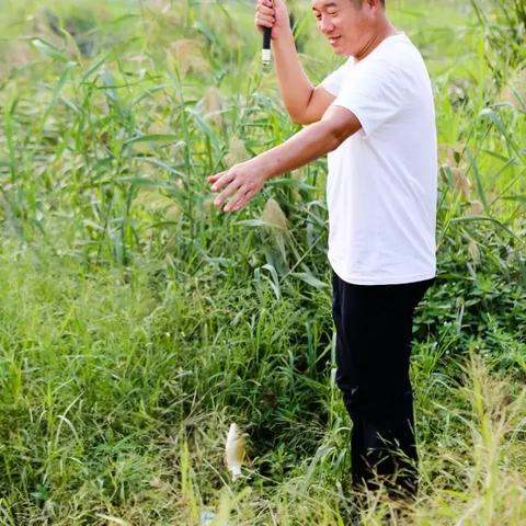 临沂市哪个地方买鱼竿的长尾关键词有什么