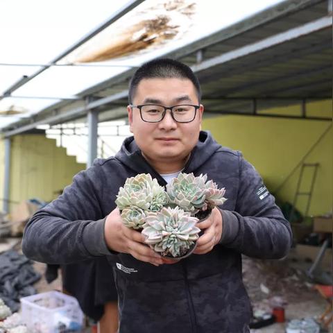 跨境农产品电商平台图片的相关长尾关键词有什么