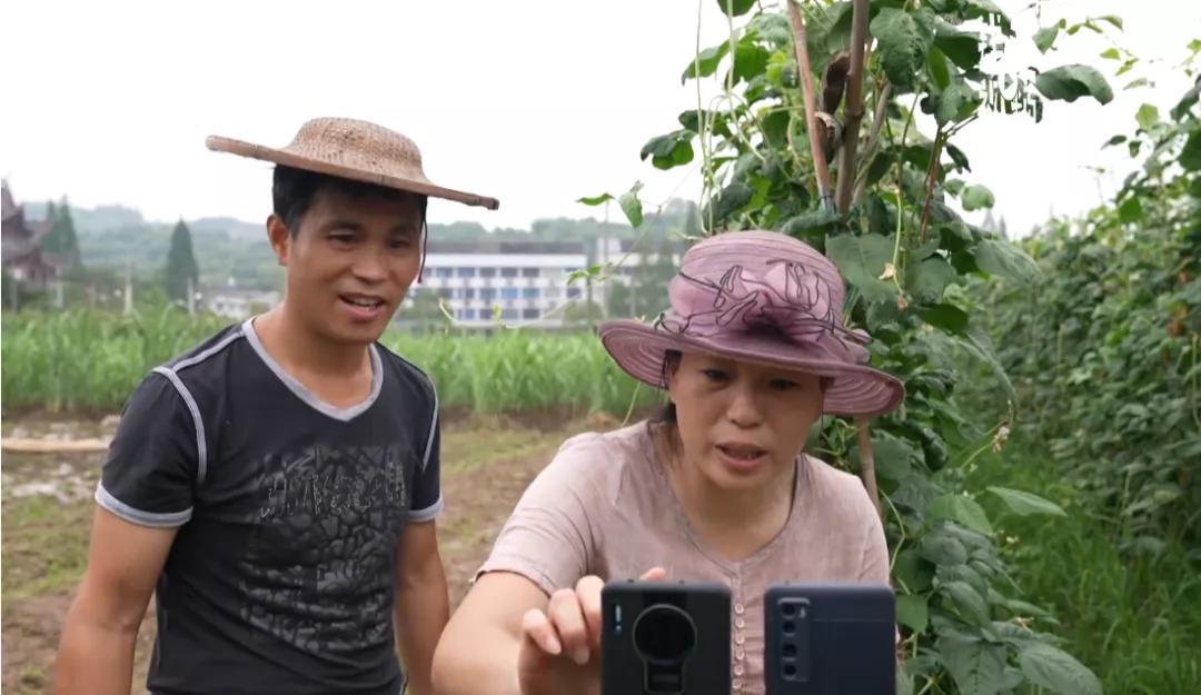 快手在线人气下单秒到账，解锁自媒体创作的高效增长新路径