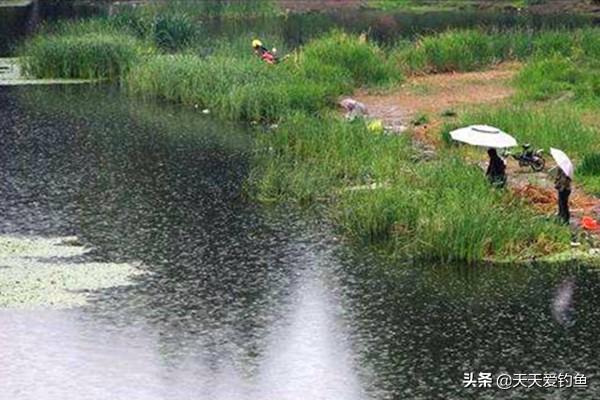 2018清明前后气温怎么样
