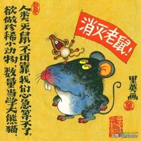 12生肖年底运势如何(12生肖年运程)