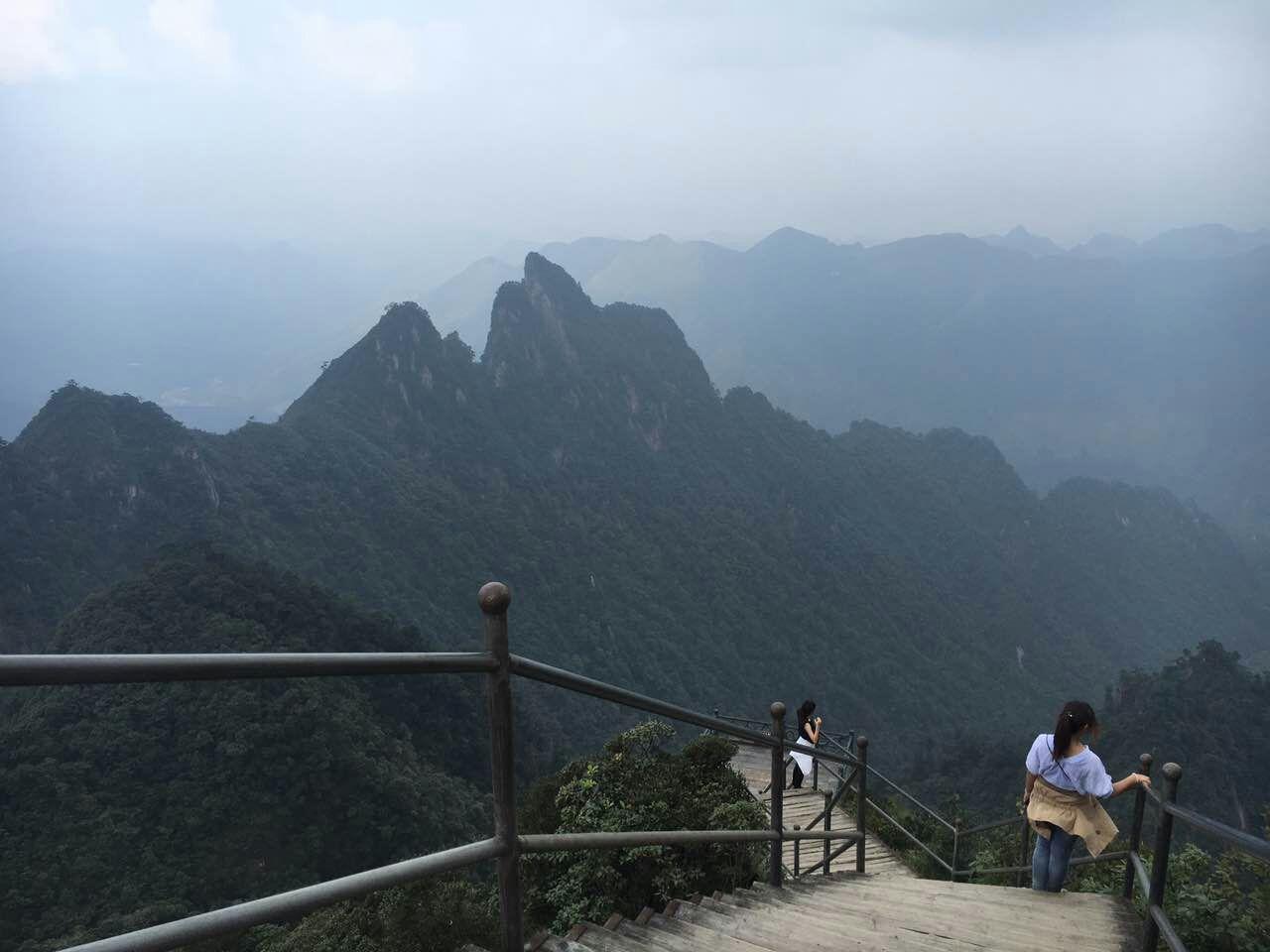 2023年郴州市旅游景点排行：莽山魅力无可抵挡！
