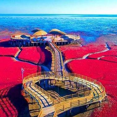 大连市红海滩公园在哪个区