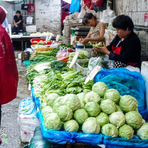 [苏州炒蔬菜]相关长尾关键词有哪些