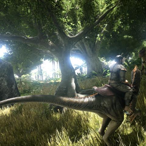 官方steam官网（官方Steam官网，游戏爱好者的首选平台）