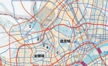 武汉市盘龙大道在哪个区