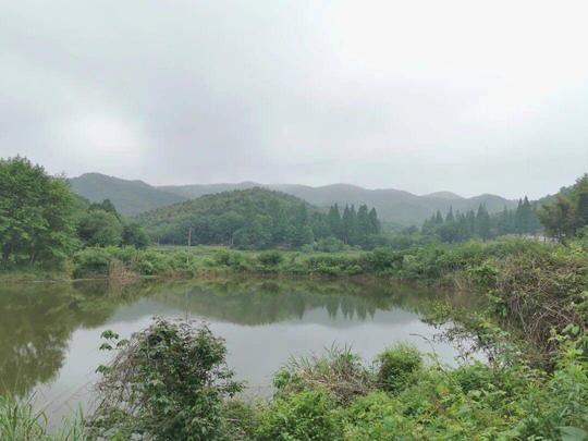 总投资3亿！芜湖将添一个高大上露营地，本月动工