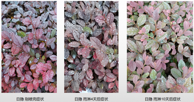 哪些是宝宝防晒重点
