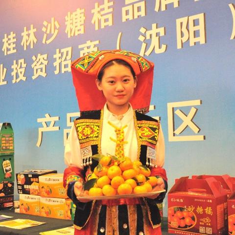 桂林到沈阳北相关长尾关键词有哪些