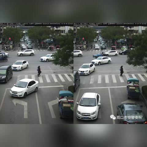 河南周口属于哪个市区