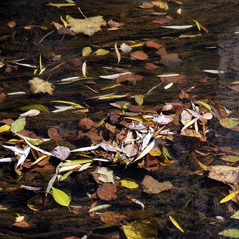 哈尔滨市秋天哪里最美好