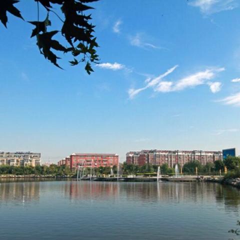 济南市刁镇怎么样
