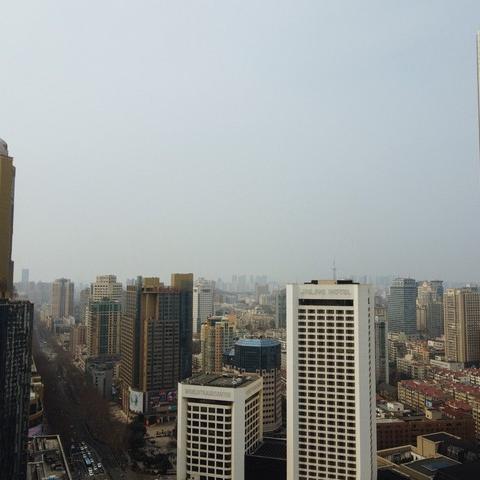 沈阳市和洛阳市哪个大