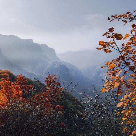 河南和山西哪个早