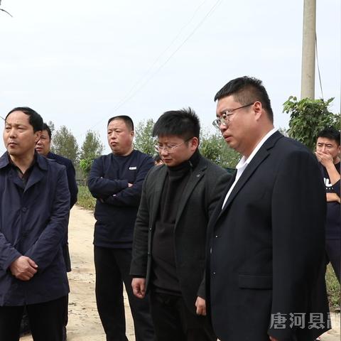 河南唐河县张店新闻的相关长尾关键词有哪些