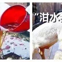 【无锡今日生猪价格】2025年4月27日无锡生猪价格是多少