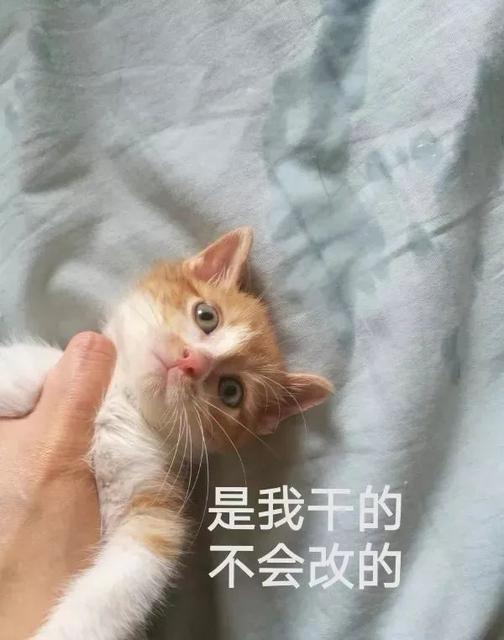 宝宝晚上尿床是害怕吗 宝宝晚上尿床是害怕吗