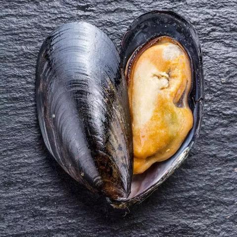 福建青口车怎么样