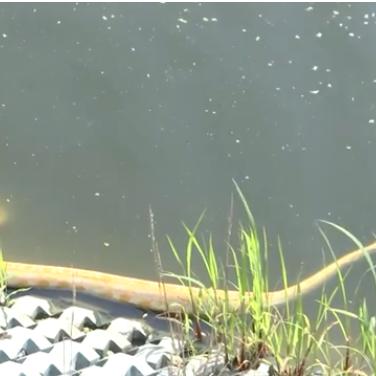 南通市哪里学游泳最好