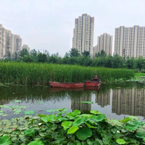 大连市哪个公园人多啊