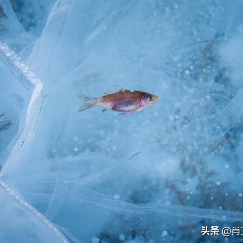 哈尔滨市发电站在哪个区
