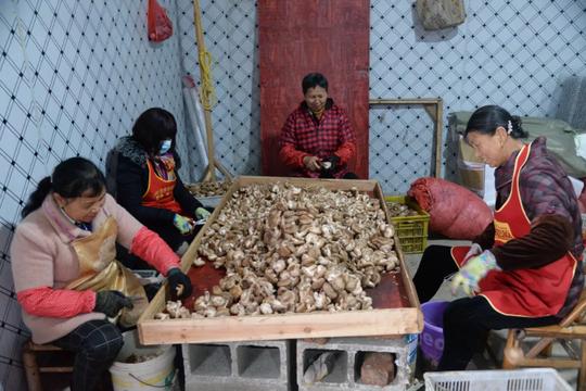南丰：特色产业助农富