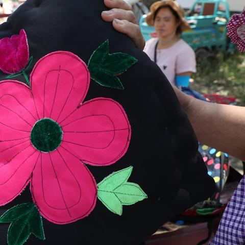 河南安阳养什么花好