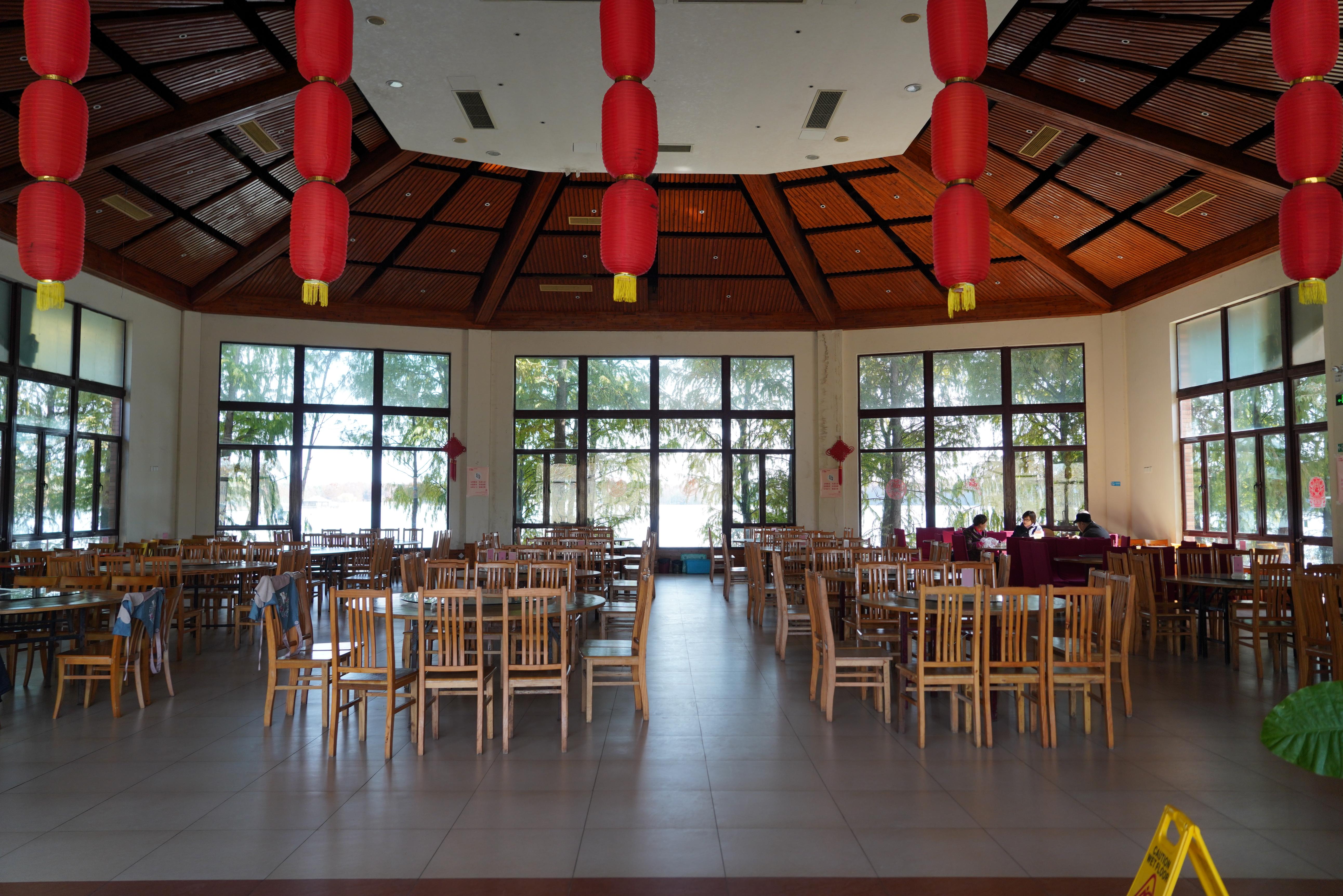 【上海海湾国家森林公园攻略,上海海湾国家森林公园好玩吗?】 【上海海湾国家森林公园攻略,上海海湾国家森林公园好玩吗?】