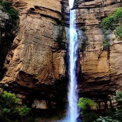 只有河南门票处在哪个门