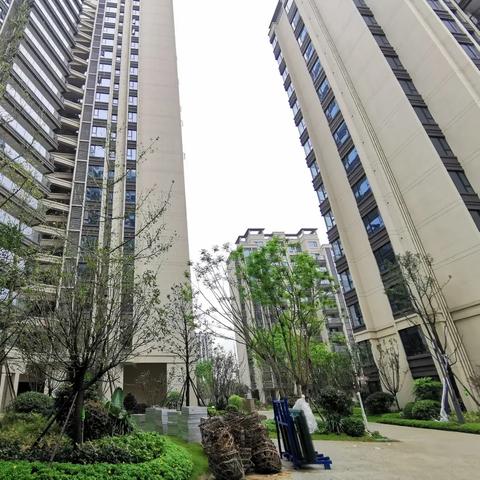 成都市新房税在哪里交纳