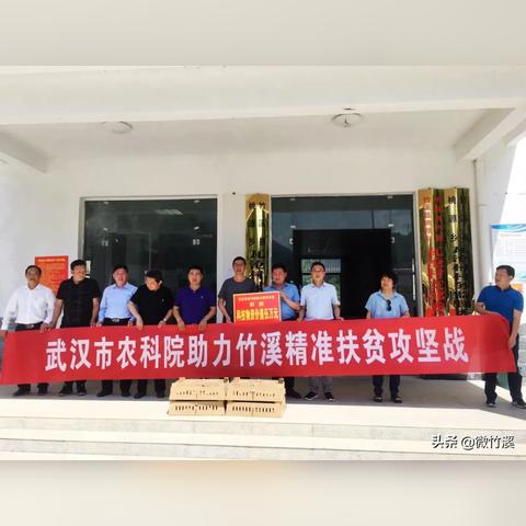 长沙市桃源乡是哪个区的