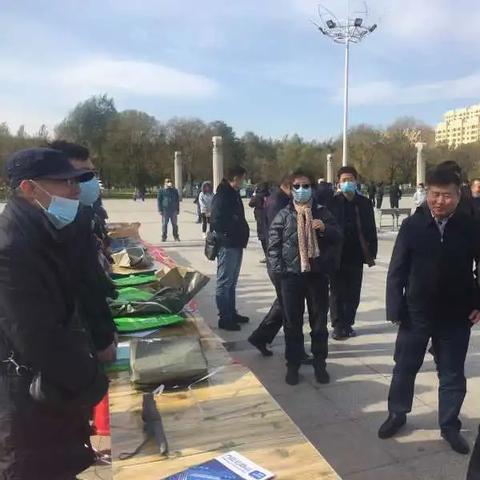 属于哈尔滨市有多少个县