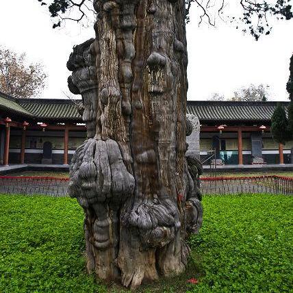 河南古建筑研究的相关长尾关键词有哪些