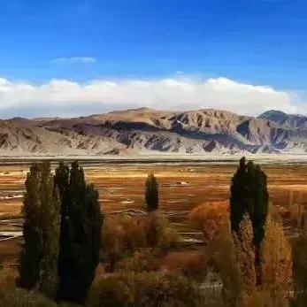 新疆跨境电商费用多少