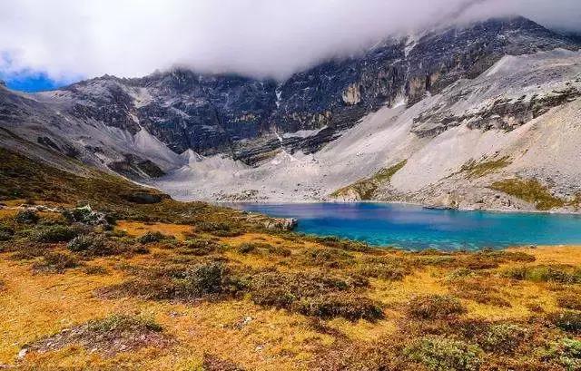 原神山中植物任务怎么过（枸杞叶几月份长得最快）