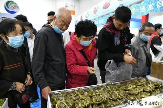 食博会后话农人|洪泽湖董大生态大闸蟹成为“抢手货”