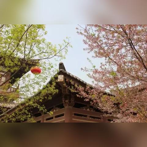 西安市青龙寺有什么