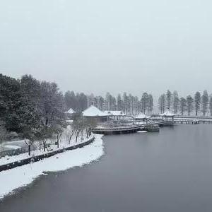 武汉市国动办是什么机构