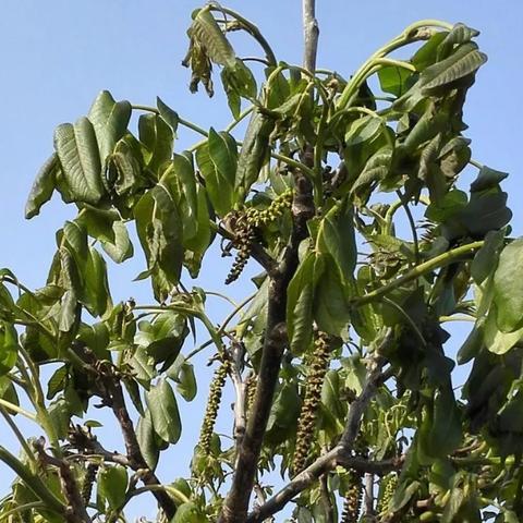 榆次天气墨迹天气预报的长尾关键词有哪些