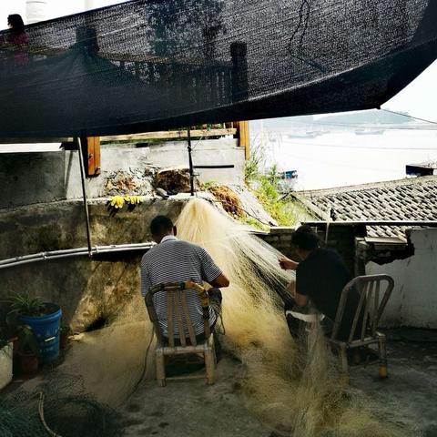 福建福鼎一日游攻略的相关长尾关键词有哪些