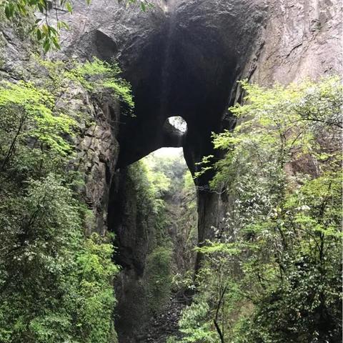 广州自驾一日游？