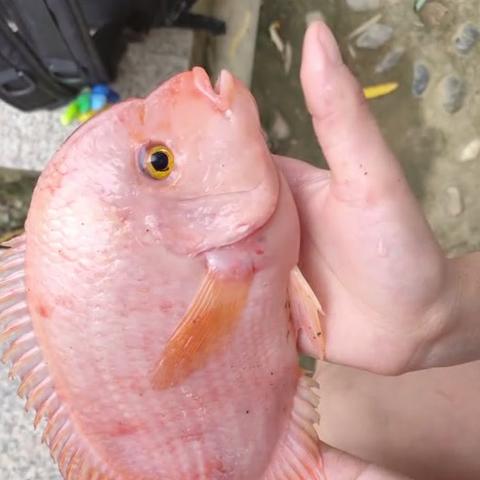 合肥有什么江河？
