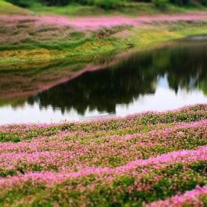 无锡市喜鹊酒店在哪里