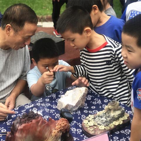 温州市第七中学初中怎么样