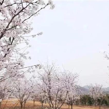 保定市观光建筑的长尾关键词有什么