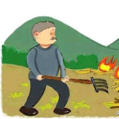 保定市哪里有收秸秆的