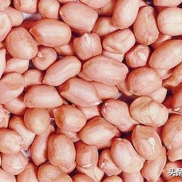 南宁交易场批发市场几点下班？