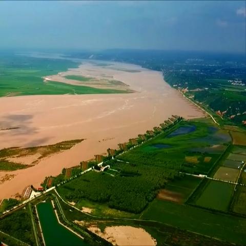 哪个视频放河南视频